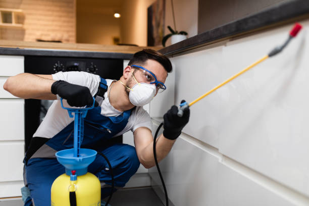 Reliable Shadow Lake, WA Pest Control Solutions
