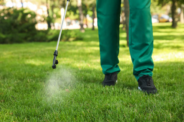 Professional Pest Control in Shadow Lake, WA