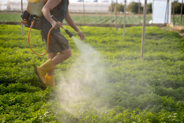 Best Wasp Removal Services  in Shadow Lake, WA