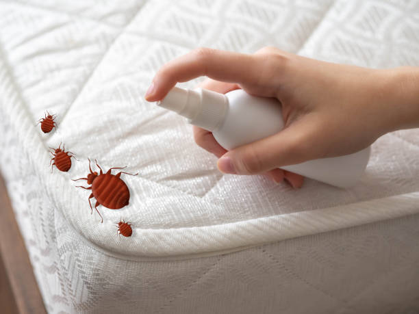 Best Exterminator Services  in Shadow Lake, WA