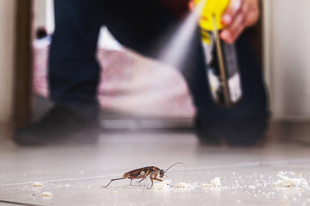 Best Mosquito Control Services  in Shadow Lake, WA