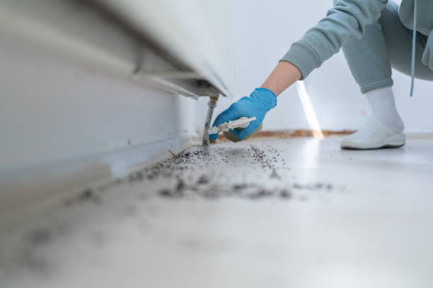 Best Mosquito Control Services  in Shadow Lake, WA