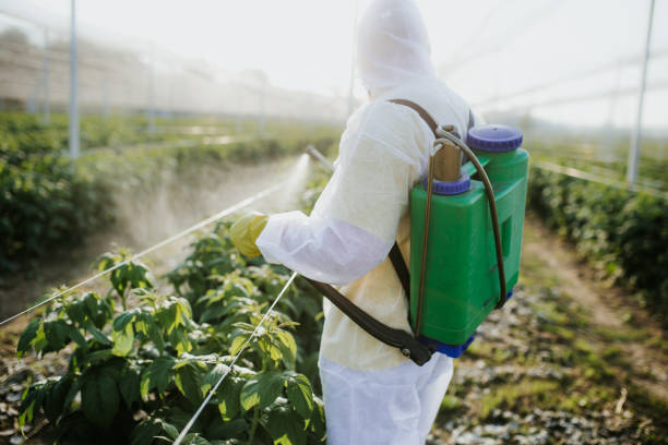 Best Termite Control Services  in Shadow Lake, WA